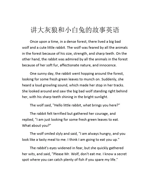 讲大灰狼和小白兔的故事英语