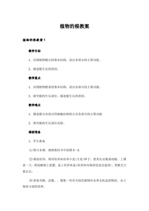 植物的根教案_1