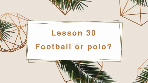新概念英语第二册Lesson30课件