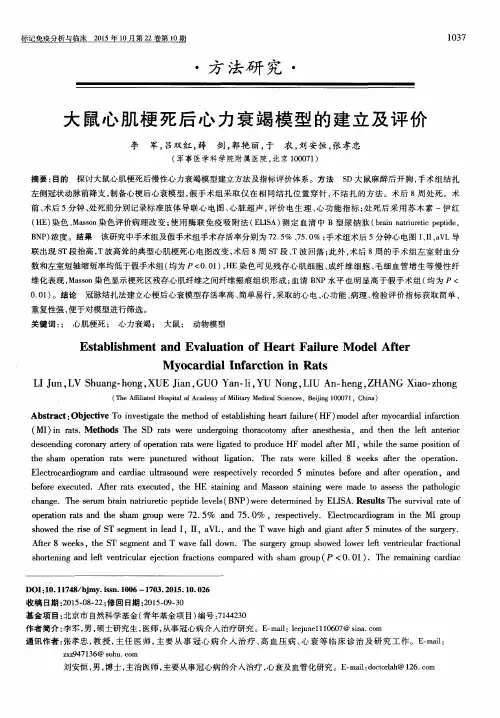 大鼠心肌梗死后心力衰竭模型的建立及评价