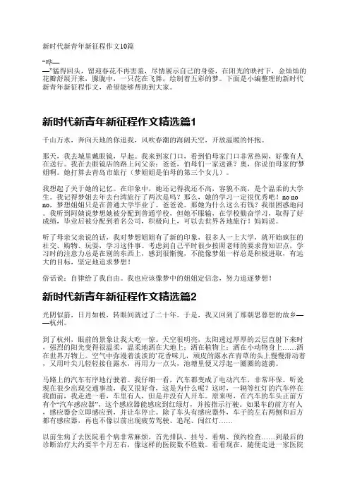 新时代新青年新征程作文10篇