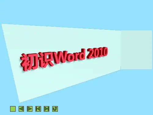 初识Word-2010
