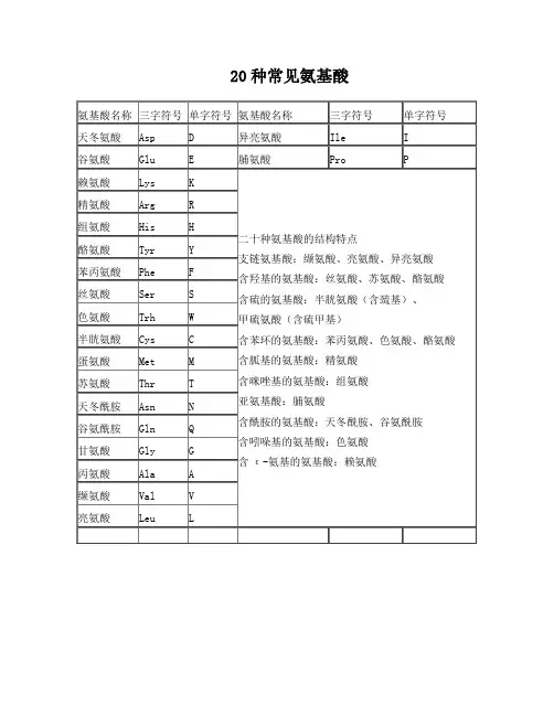 20种常见氨基酸