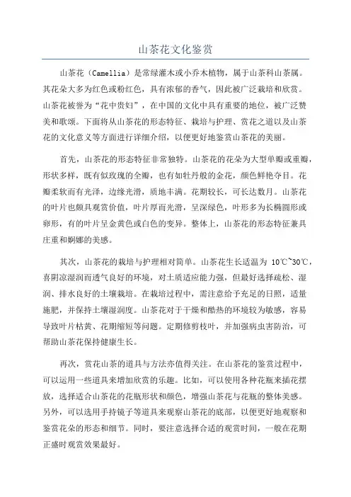 山茶花文化鉴赏