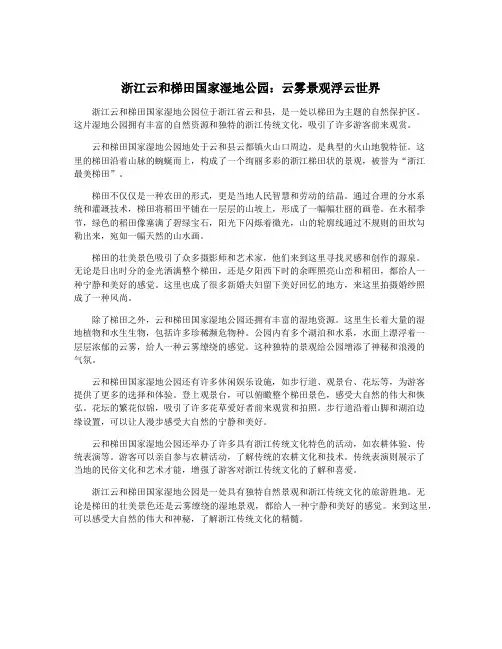 浙江云和梯田国家湿地公园：云雾景观浮云世界