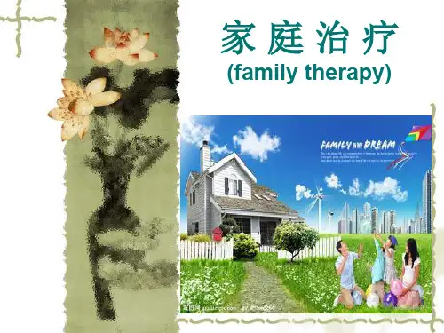 家庭治疗PPT演示课件