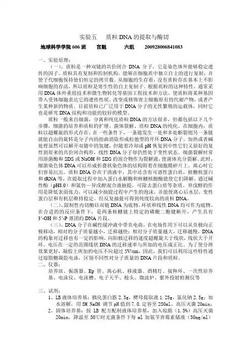 质粒DNA的提取与酶切