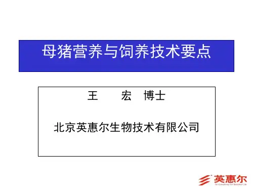 母猪营养及饲养要点