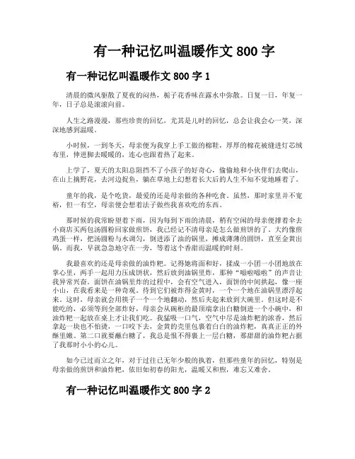 有一种记忆叫温暖作文800字