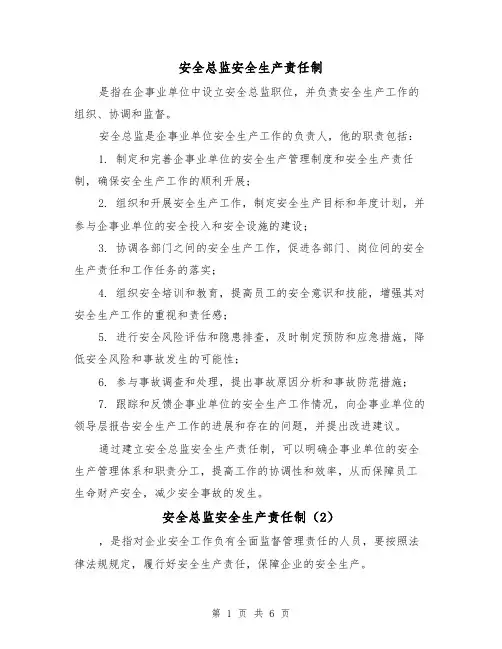 安全总监安全生产责任制（4篇）