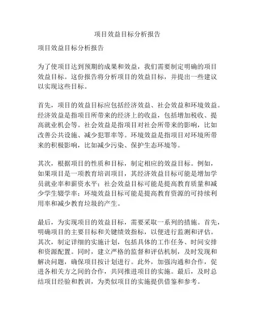 项目效益目标分析报告