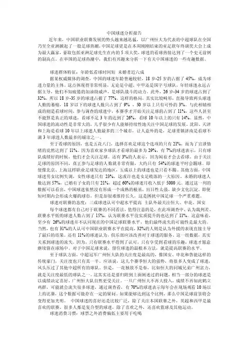 中国球迷分析报告