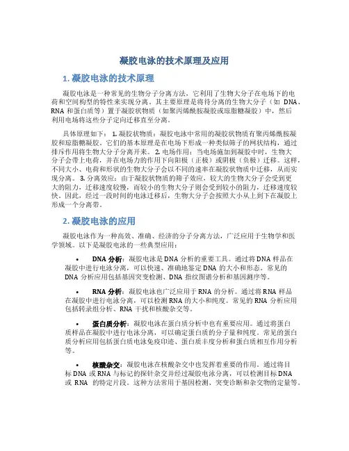 凝胶电泳的技术原理及应用