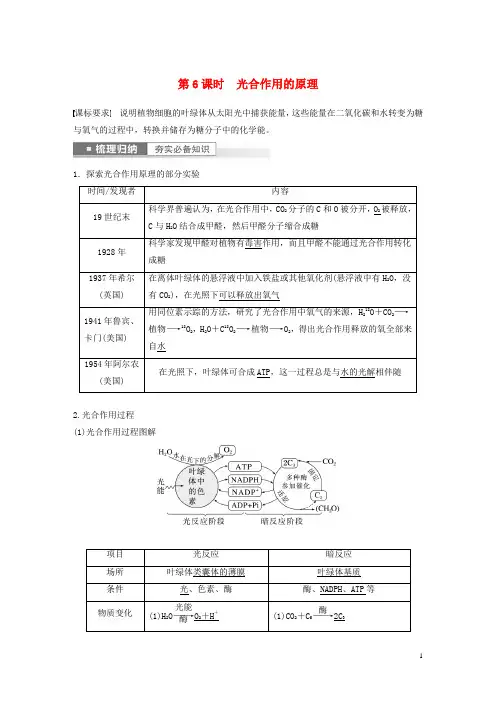 新高考2023届高考生物一轮复习讲义第3单元第6课时光合作用的原理新人教版