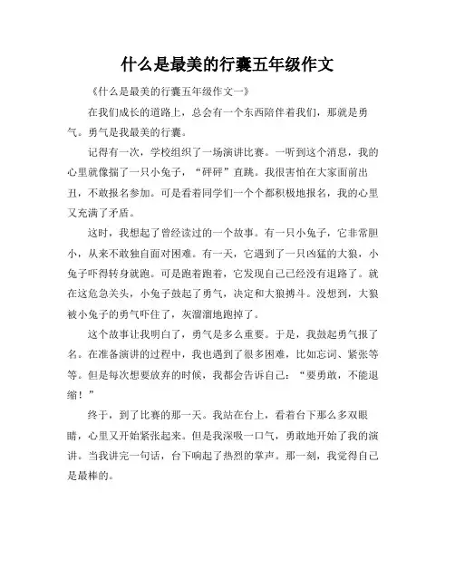 什么是最美的行囊五年级作文