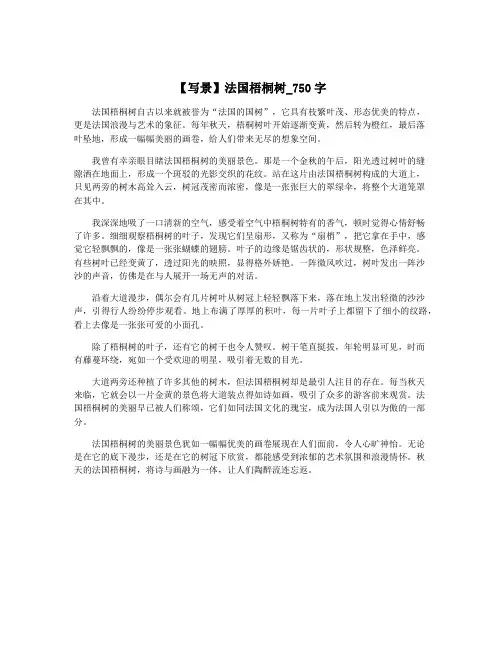【写景】法国梧桐树_750字