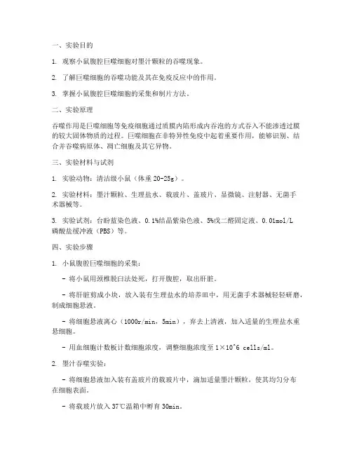 小鼠墨汁吞噬实验报告