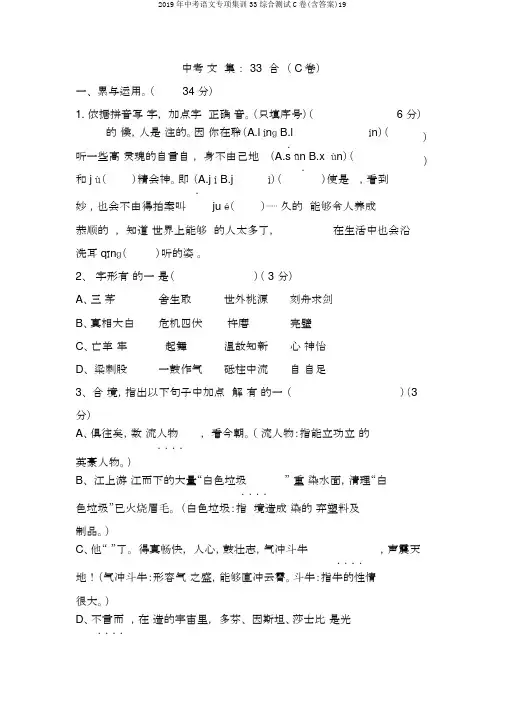 2019年中考语文专项集训33综合测试C卷(含答案)19