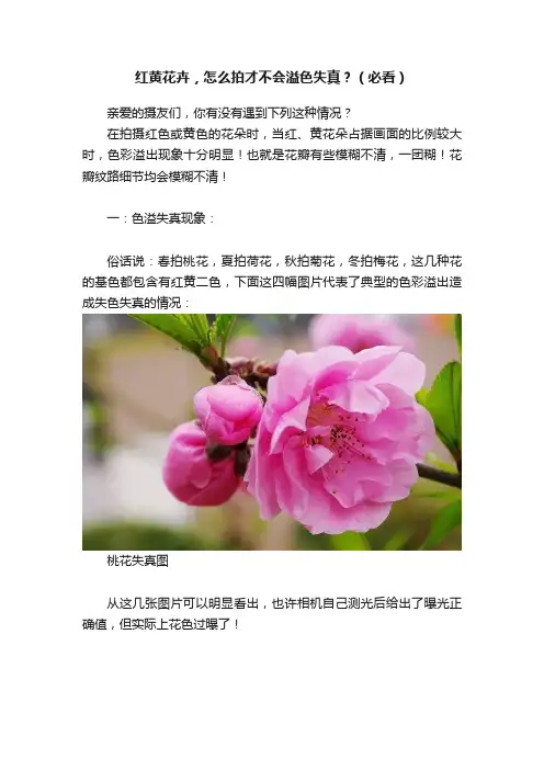 红黄花卉，怎么拍才不会溢色失真？（必看）