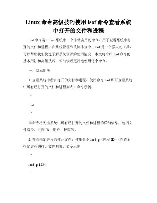 Linux命令高级技巧使用lsof命令查看系统中打开的文件和进程