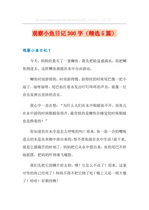 观察小鱼日记300字(精选5篇)