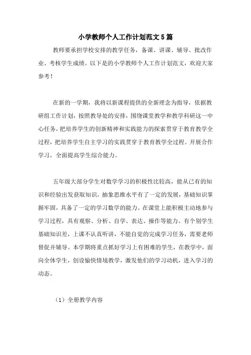2020年小学教师个人工作计划范文5篇