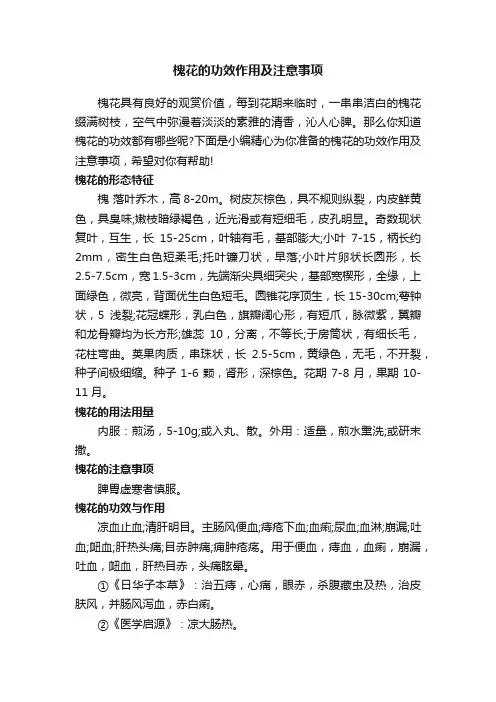 槐花的功效作用及注意事项