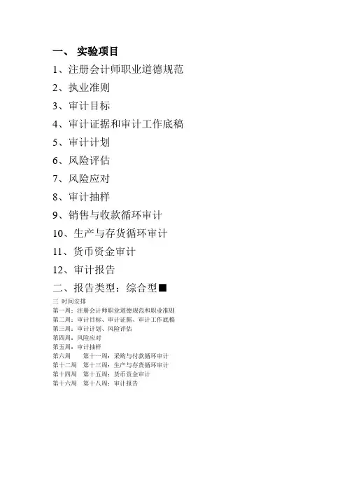 审计实训报告之实验项目