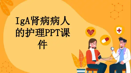 IgA肾病病人的护理PPT课件