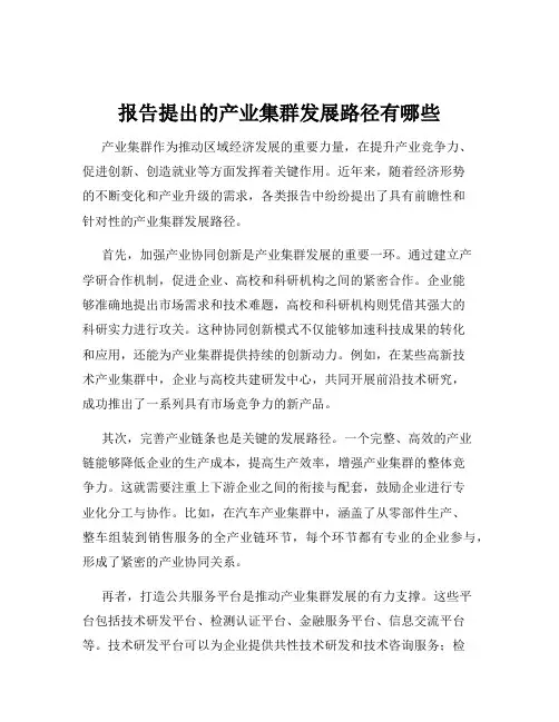 报告提出的产业集群发展路径有哪些