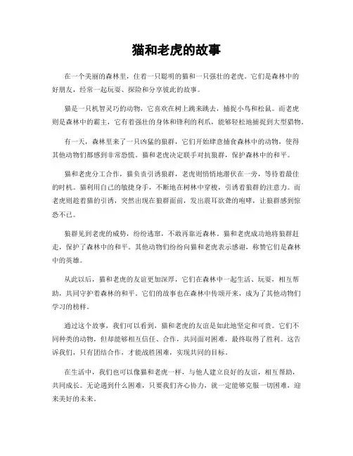 猫和老虎的故事