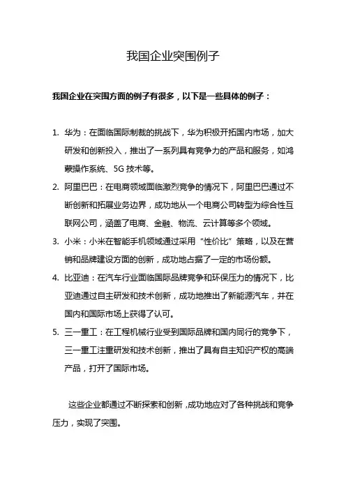我国企业突围例子