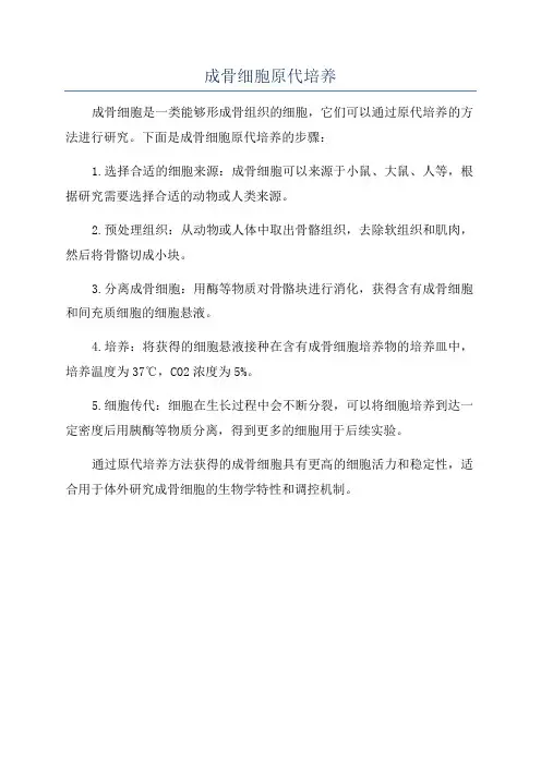 成骨细胞原代培养