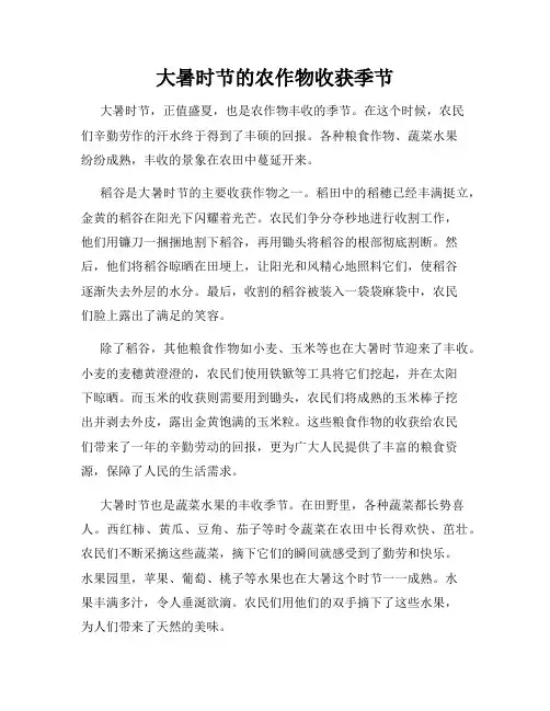 大暑时节的农作物收获季节