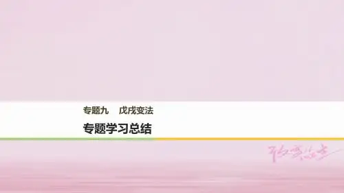 高中历史专题九戊戌变法专题学习总结课件人民版选修1