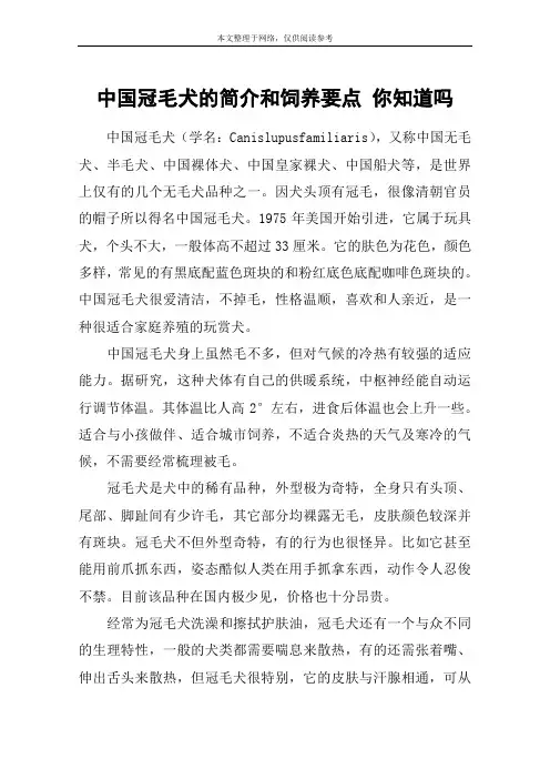 中国冠毛犬的简介和饲养要点 你知道吗