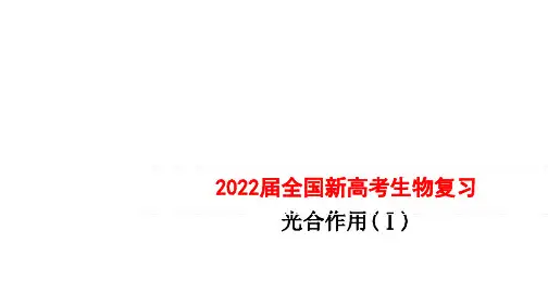2022届全国新高考生物复习光合作用(Ⅰ)
