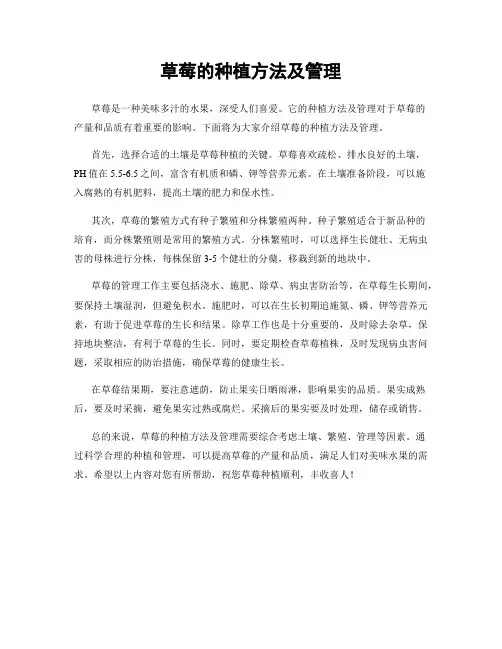 草莓的种植方法及管理