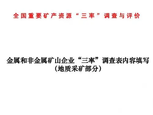 金属非金属三率调查表(地采)
