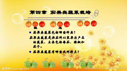 第四章  番茄