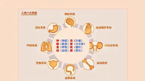 人体内物质的运输—血管--ppt课件