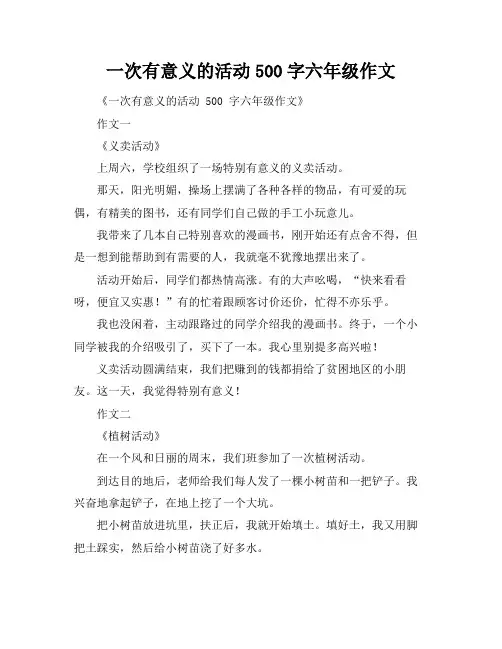 一次有意义的活动500字六年级作文