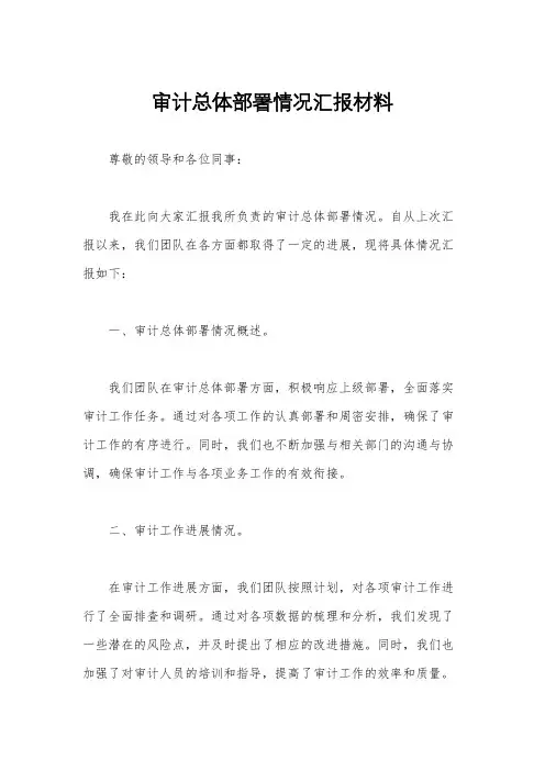 审计总体部署情况汇报材料