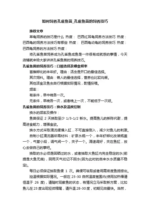 如何饲养孔雀鱼苗_孔雀鱼苗的饲养技巧