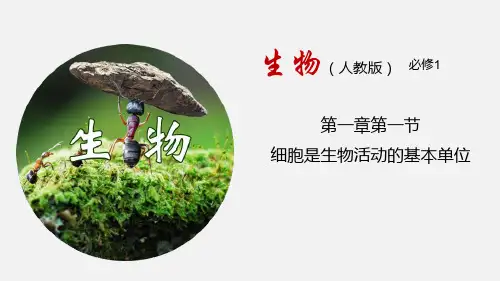 人教版高中生物必修一 细胞是生命活动的基本单位 走近细胞教学