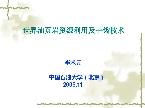 世界油页岩干馏技术