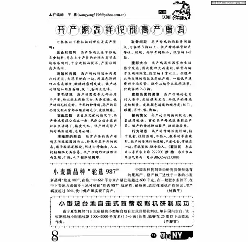 开产期怎样识别高产蛋鸡