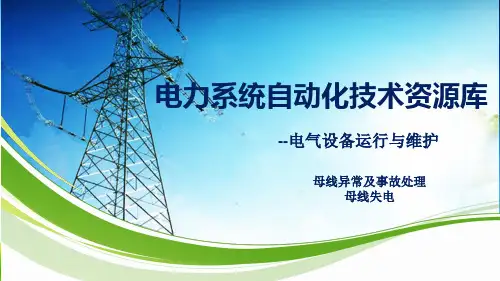母线保护异常及处理：母线失电.pptx