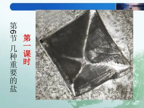 2018秋浙教版科学九上1.6《几种重要的盐》(第1课时)ppt课件