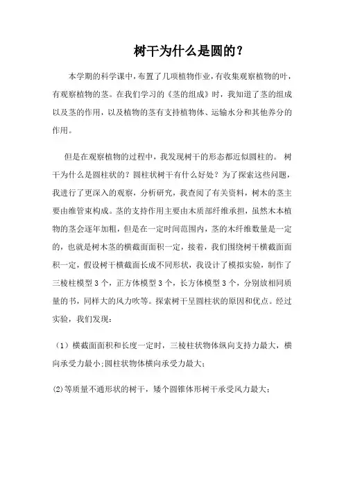 金鹏科技论坛论文-树干为什么是圆的